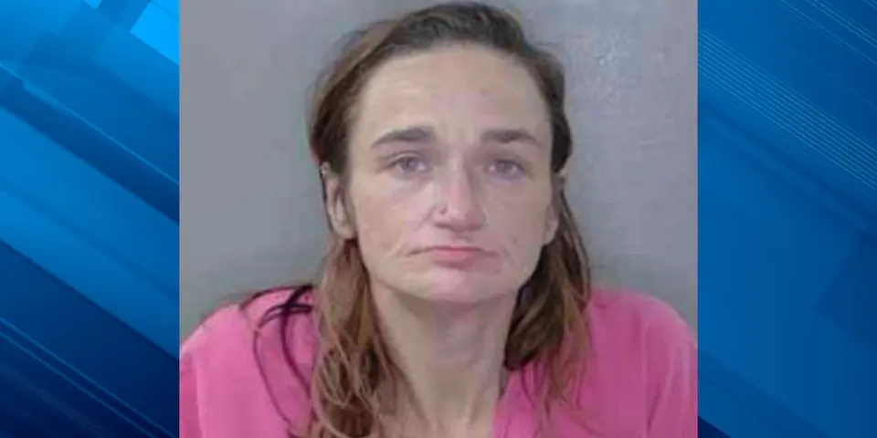 Woman arrested for arson at Georgetown County Walmart on N. Fraser Street