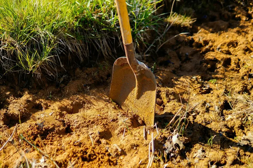 Remains of 29 unborn children found in garden of house; pathologist arrested