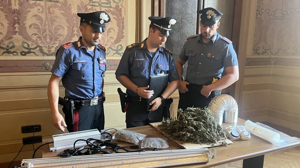 30-year-old arrested with 120 grammes of marijuana at level crossing checkpoint