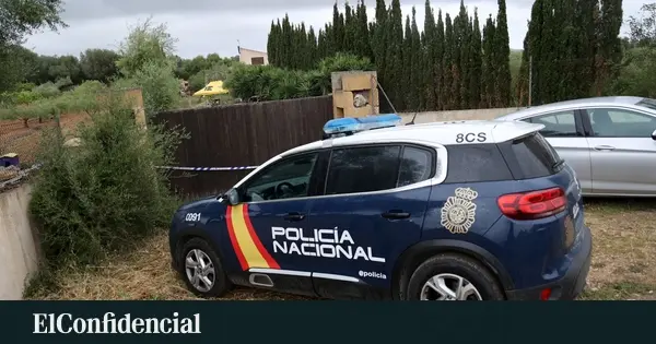 Detenido en Manacor por robos en hotel disfrazado de electricista