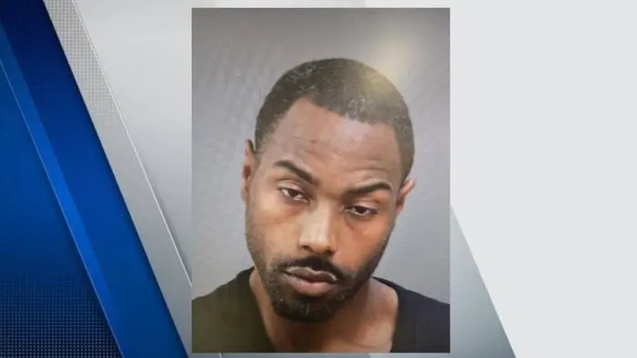Detroit Man Charged with Murder After Running Over Vendor at Warren Flea Market