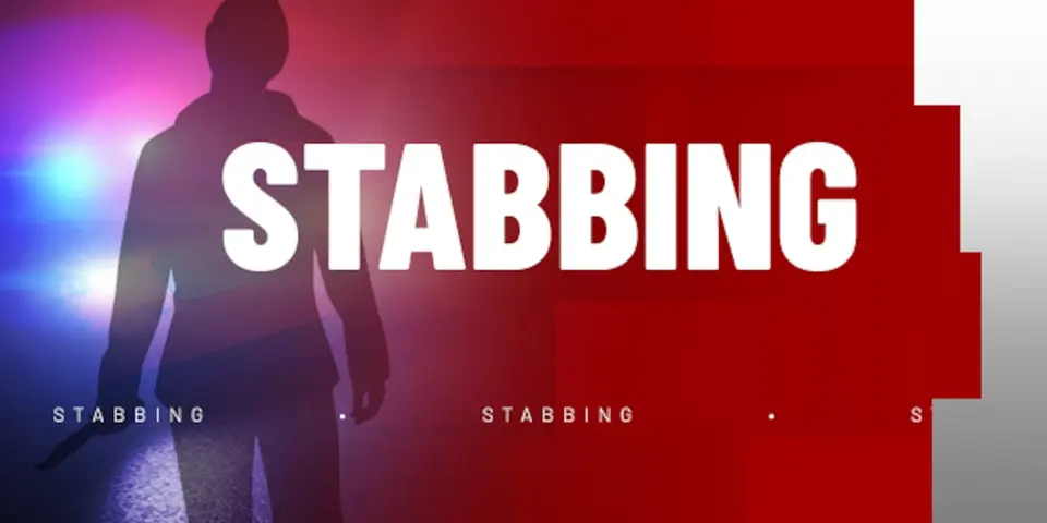 Stabbing at Easley gathering leaves multiple injured, driver arrested after chase