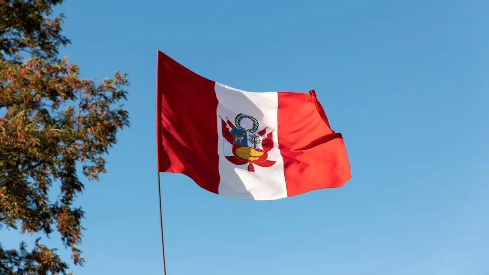 Perú y la OEA refuerzan cooperación contra el crimen organizado transnacional