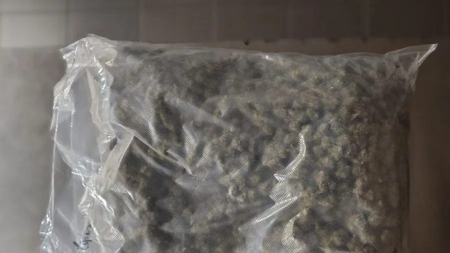 Mężczyzna zatrzymany w Toruniu z kilogramem narkotyków w torbie