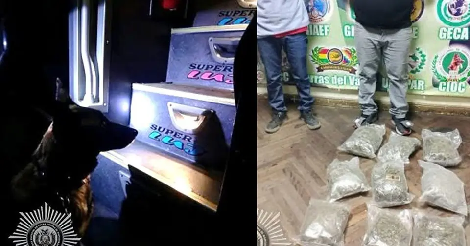 Perro antidroga detecta cinco kilos de marihuana ocultos en bus en Cochabamba