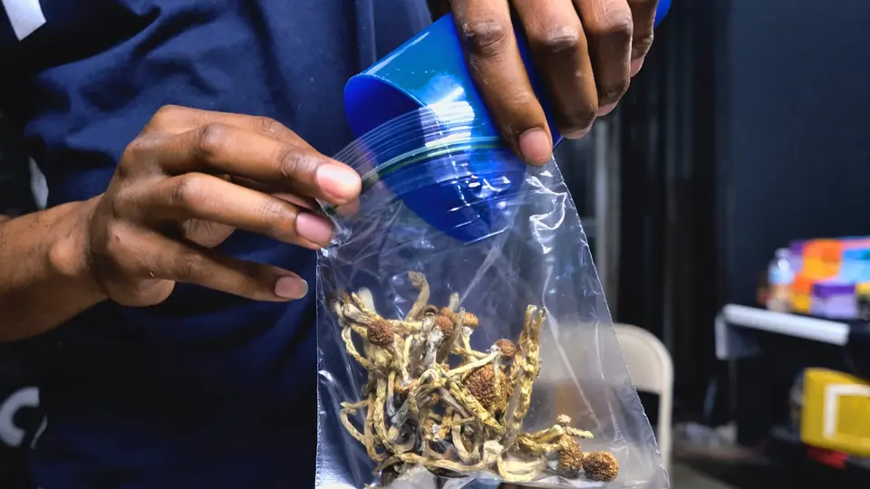 10th Circuit clears Utah to prosecute Singularism founder over psilocybin use