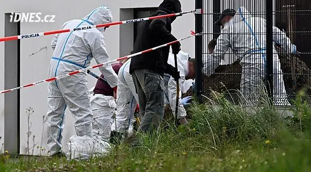 Remains of unborn children found in Poland, doctor suspected of using them for experiments