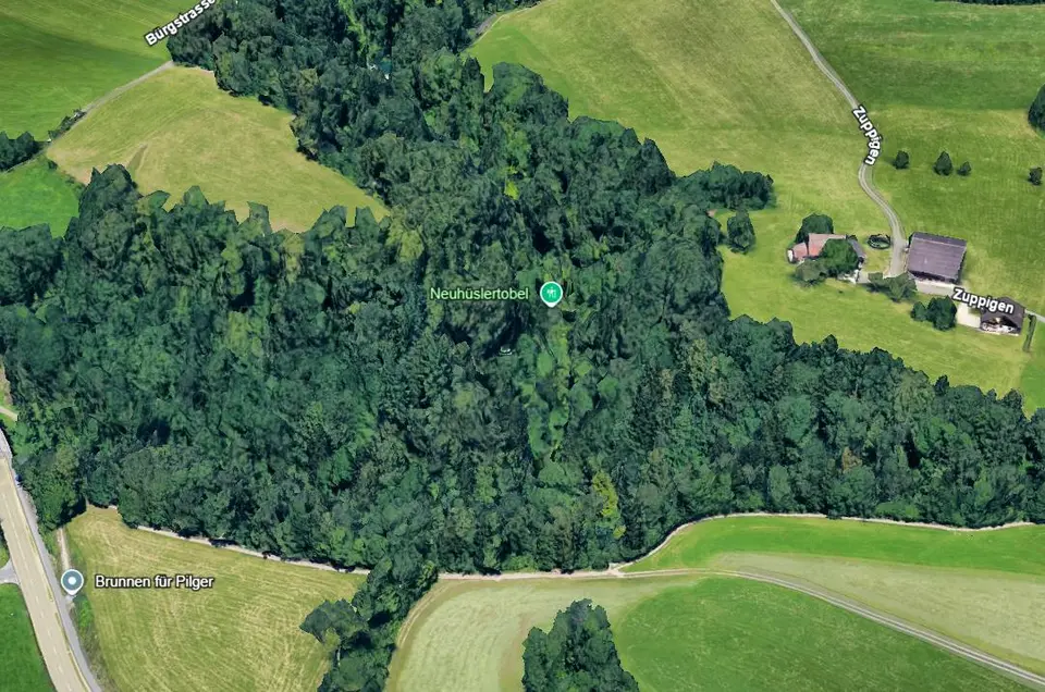 Chase in St. Gallenkappel ends in ravine – Rega deployed