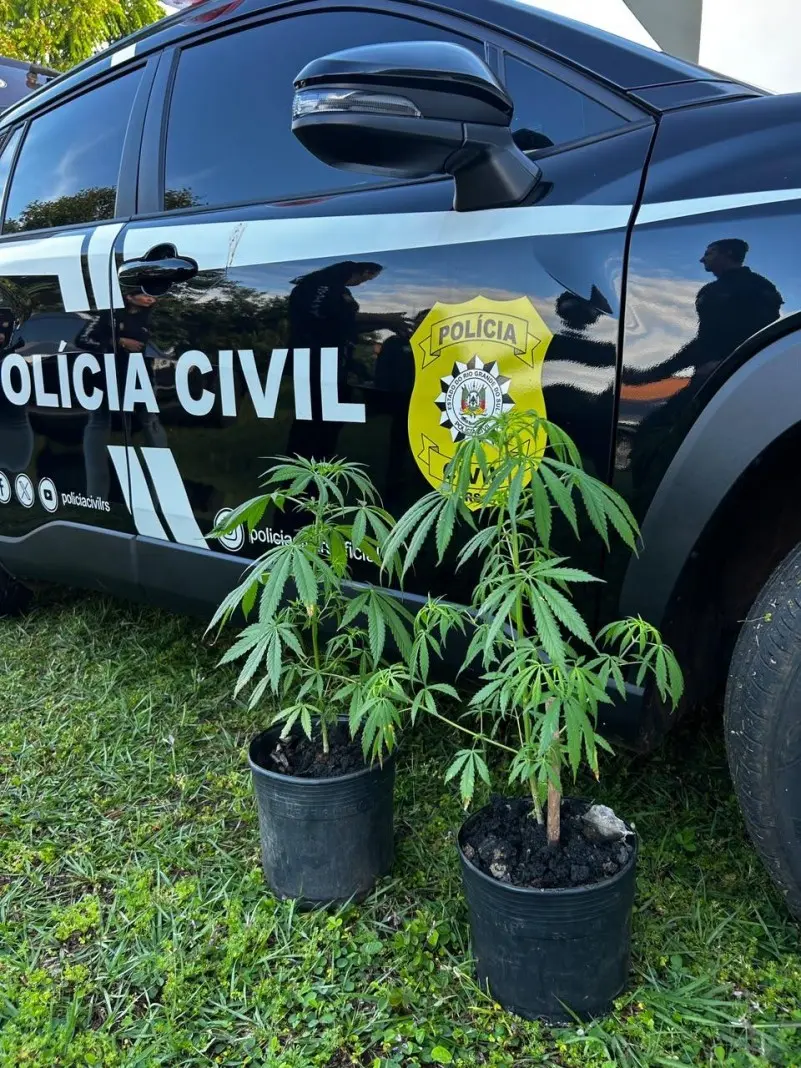 Operation Clã arrests three suspects for drug trafficking in São Paulo das Missões