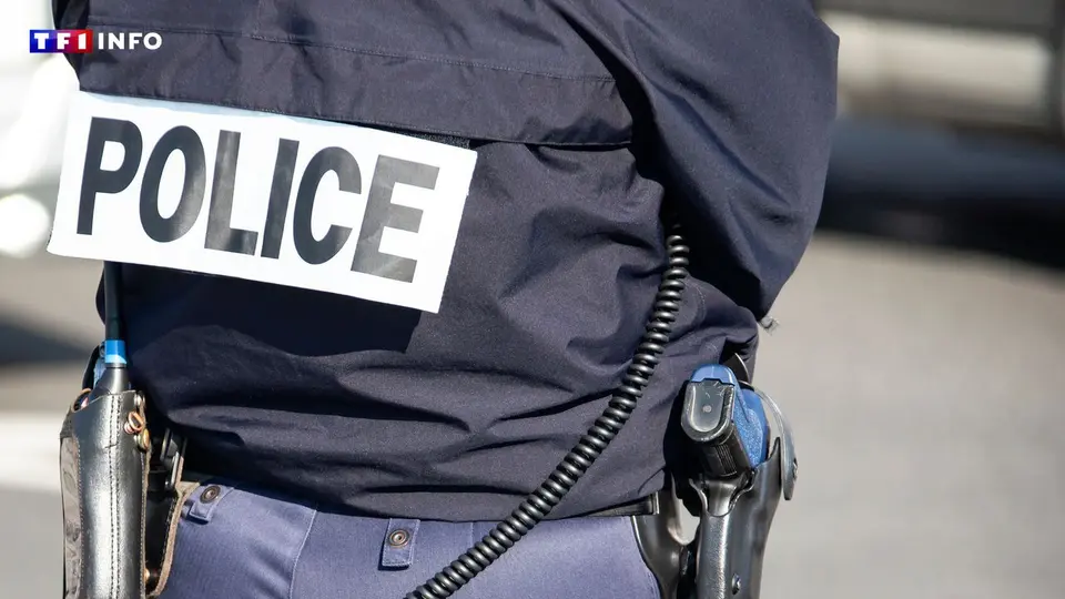 Trois mineurs en garde à vue pour apologie du terrorisme en Orléans