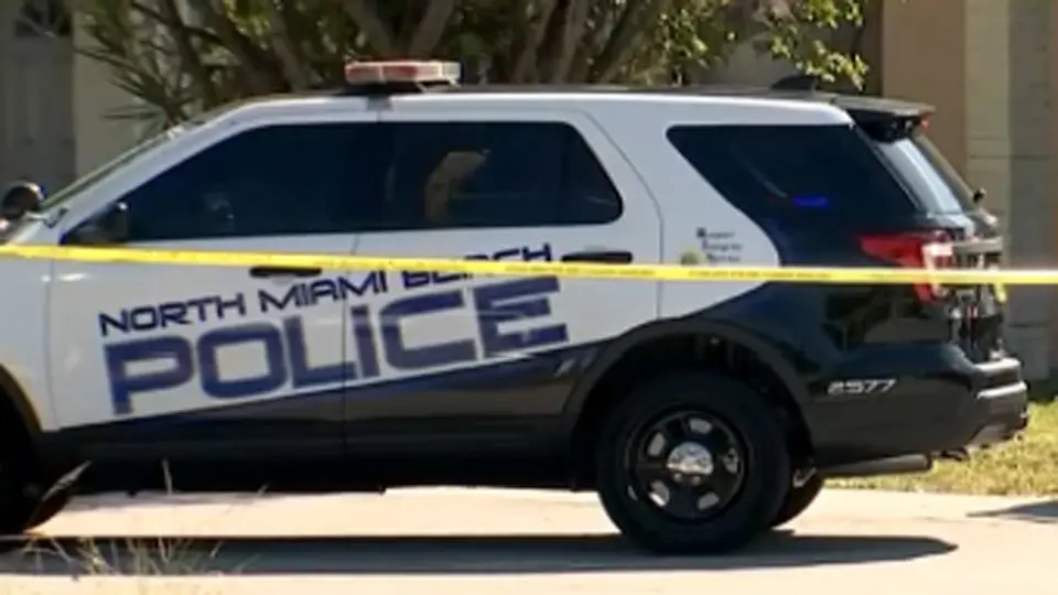 Two Minors Arrested in North Miami Beach Car Burglary Spree