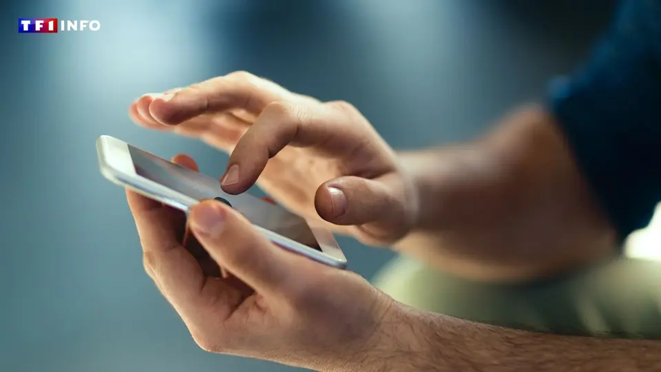Deux frères arrêtés à Paris pour gestion d'une plateforme de contenus intimes volés