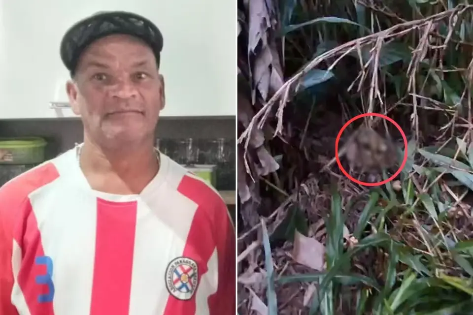 Remains of bricklayer killed in 'crime tribunal' found in banana plantation in Itanhaém