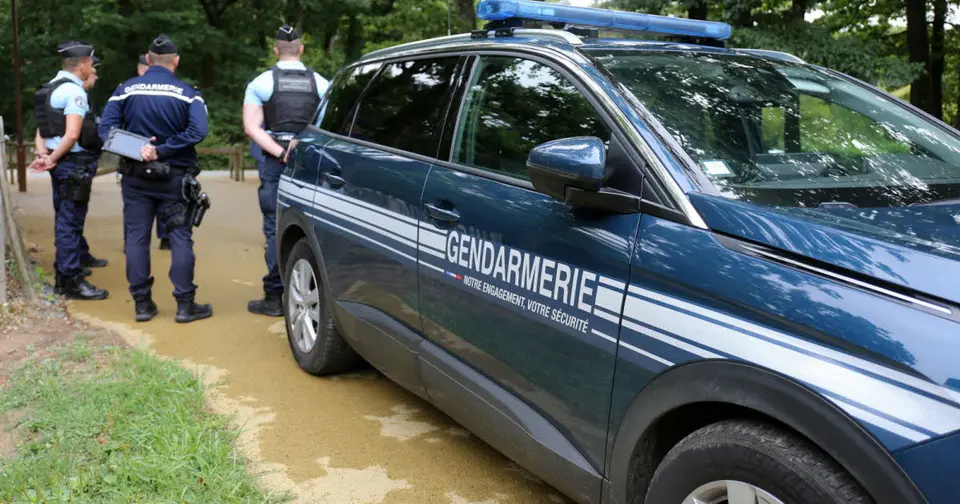 Nouveau-né abandonné en forêt dans le Haut-Rhin : la mère mise en examen pour tentative de meurtre