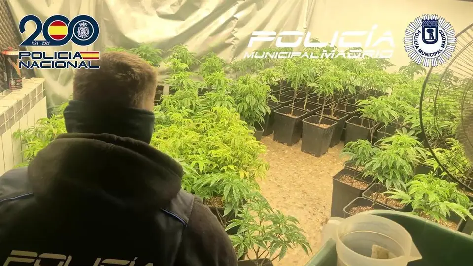 Drug network dismantled in Vallecas following months of police surveillance