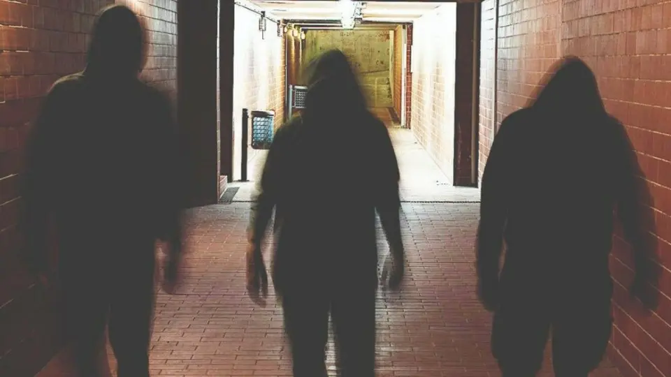 Sei giovani denunciati per aggressione a disabile a Belgioioso, video sui social