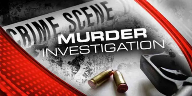 7-year-old boy killed, pensioner injured in Zeelugt stabbing