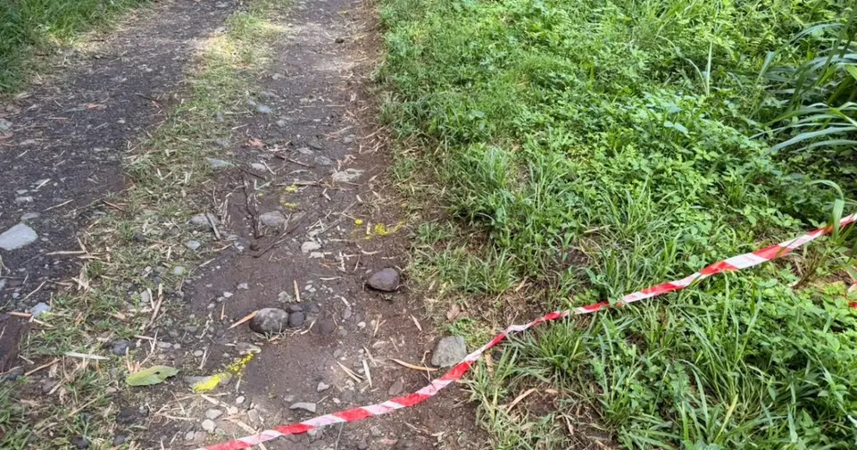 Meurtre à Basse-Pointe : le 22e homicide de l'année en Martinique