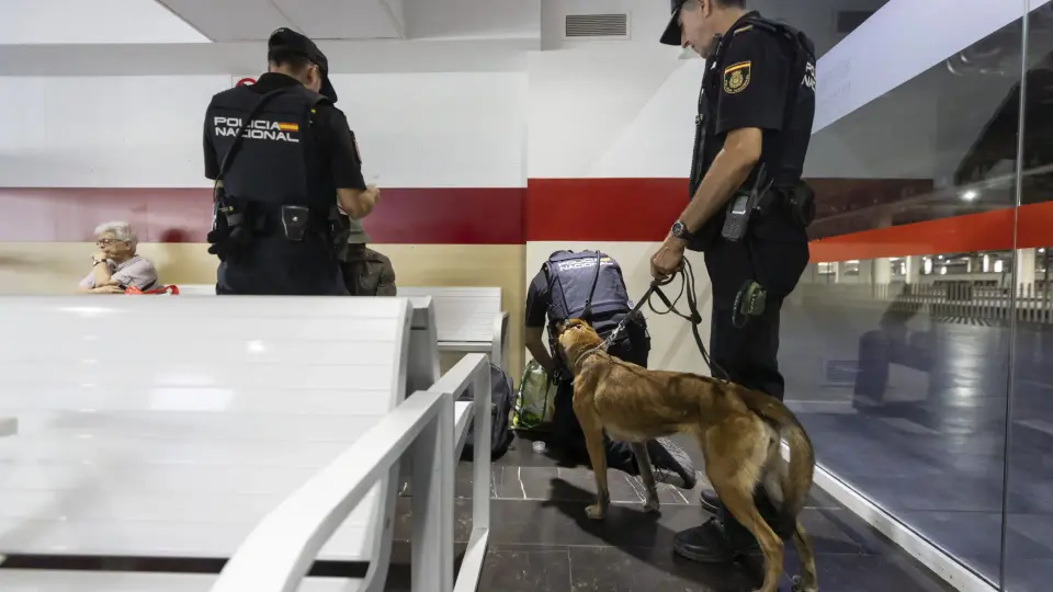 Condenado a nueve meses de prisión por morder a tres policías en Zaragoza