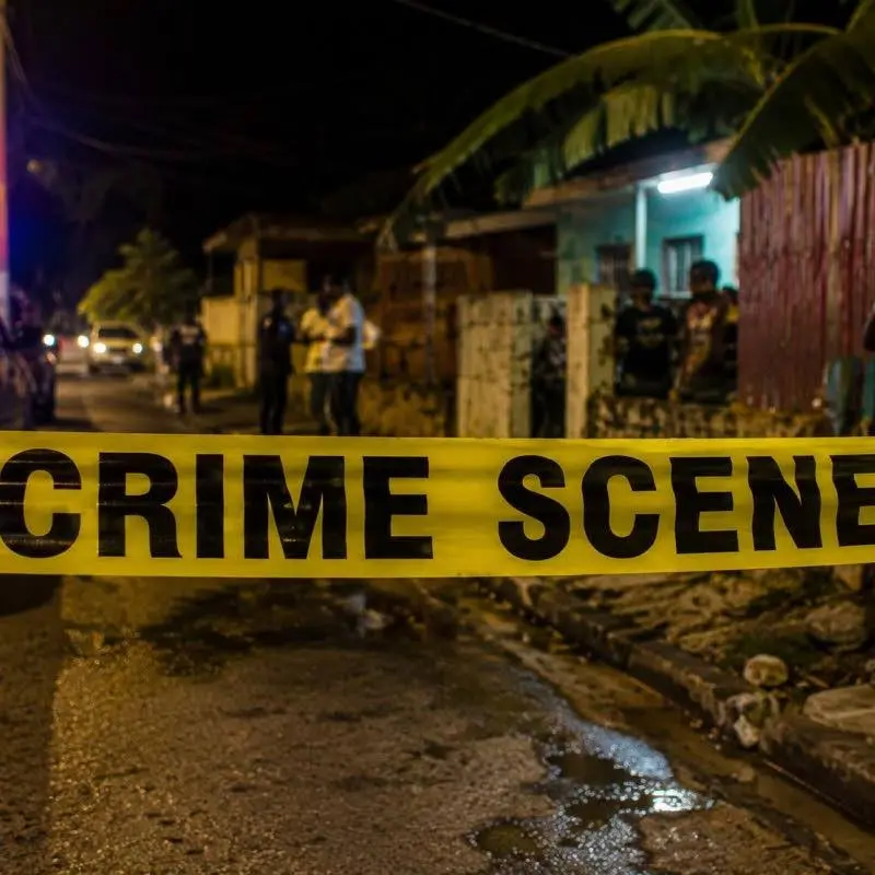 Two men shot dead on Balcombe Drive, Olympic Gardens; police hunt killers