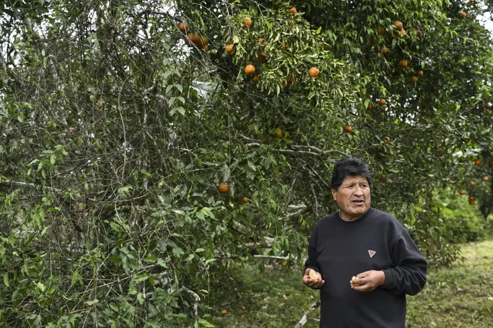 Bolivia's Public Prosecutor accuses Evo Morales over death of three Europeans in Santa Cruz in 2009