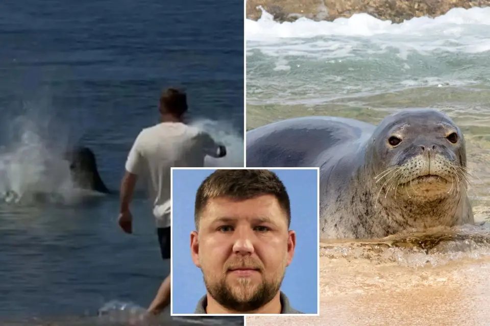 Hawaii Monk Seal Rock Attack: Suspect Blames Delta for No Wildlife Warning