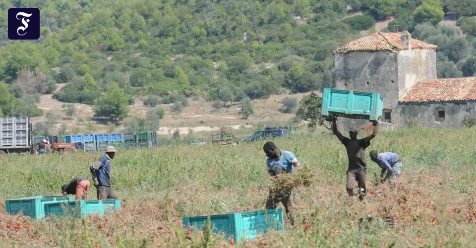 Quattro lavoratori migranti bruciati vivi in Calabria: due arresti