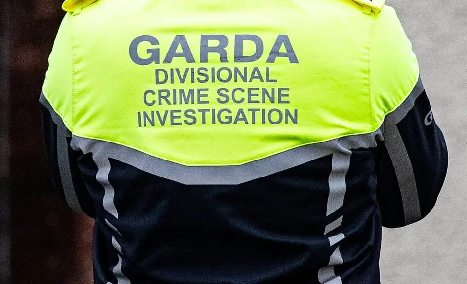 Waterford firebomb killings linked to €20,000 drugs debt owed by another person, son says