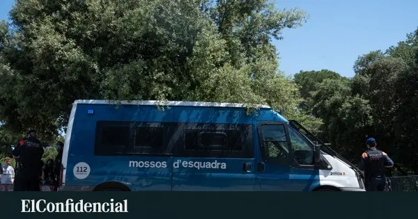 Clandestine cannabis workshop dismantled in Barcelona with 63.7 kilos seized