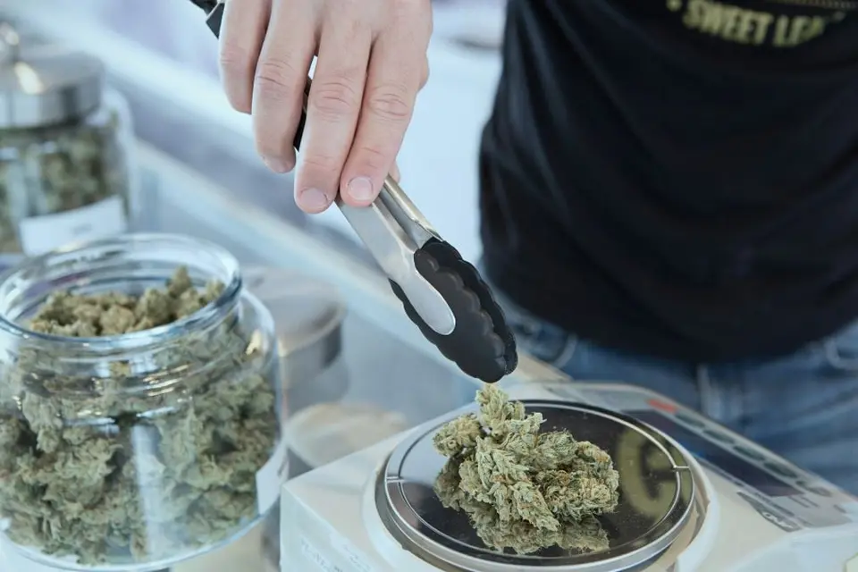 Policia Nacional cierra dos clubes de cannabis en Alfaz del Pi y Denia por venta ilegal a turistas