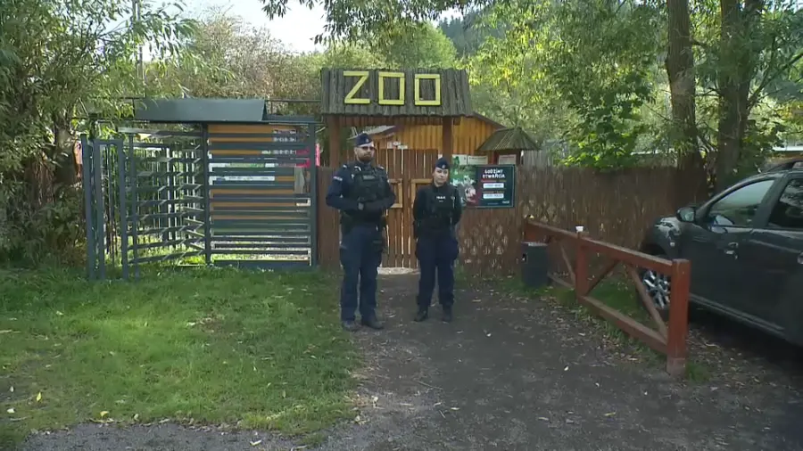 Court refused arrest for owner of Zoo Łączna in Mieroszów