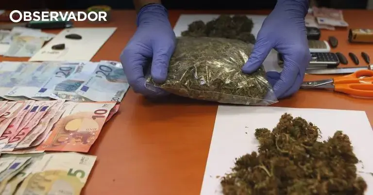 Homem de 33 anos preso por tráfico de droga no Funchal com dois quilos de haxixe