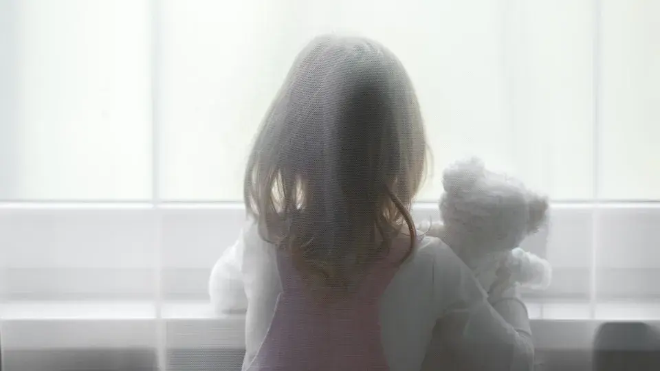 Foreign national detained for sexual abuse of four-year-old half-sister remanded in custody