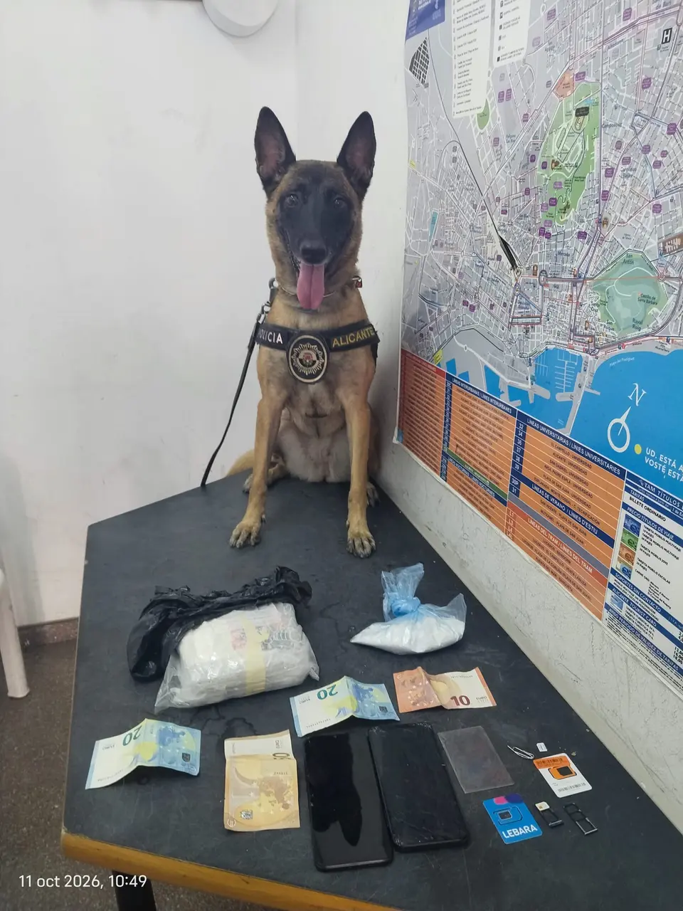 Perro de policía detiene a hombre con 678 gramos de cocaína en Alicante