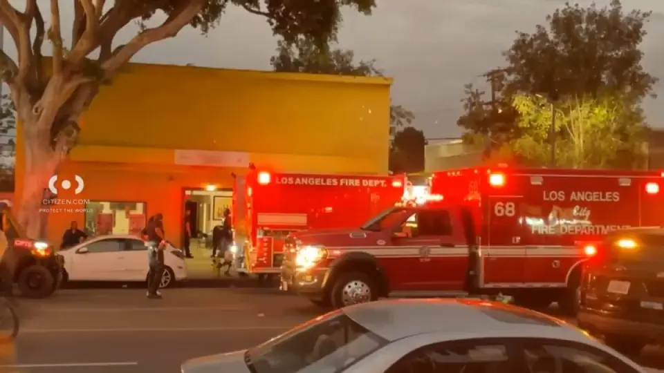 Two stabbed near Taste of Soul Festival in South Los Angeles