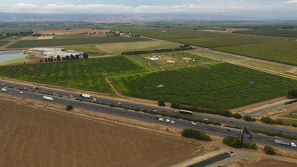 Two people stabbed at Cool Patch Pumpkins corn maze in Dixon; suspect arrested