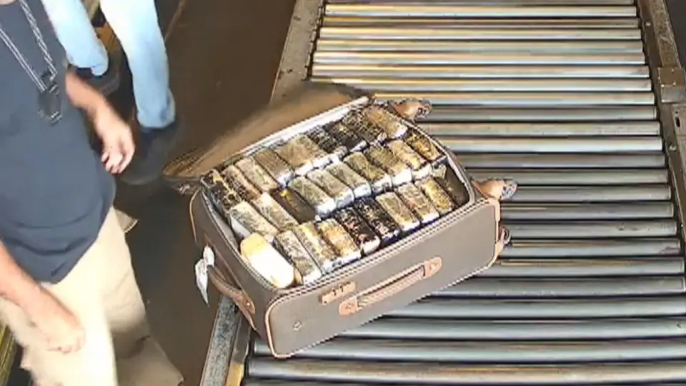 Tráfico no aeroporto de Guarulhos: funcionários recrutados e quase 5 toneladas apreendidas em 2026