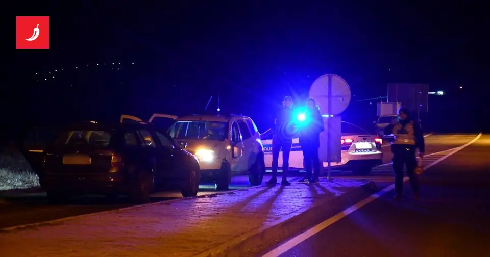 Četvero uhićenih u Bosiljevo zbog krijumčarenja migranata: Sirijac, Mađar, Srpkinja i maloljetni Ukrajinac