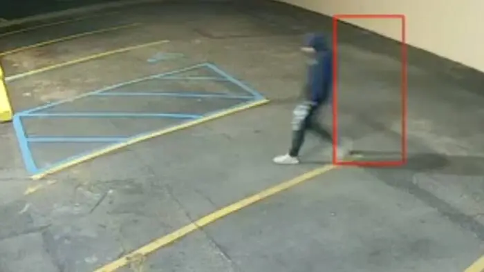 Berkley police seek two young suspects in vape shop break-in attempt