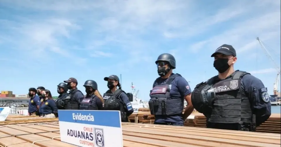 Juez en Chile suspende destrucción de madera boliviana por 60 días y ordena nuevas pericias