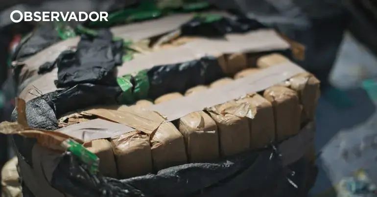 GNR arrests 12 people for drug trafficking in Lamego and Tarouca