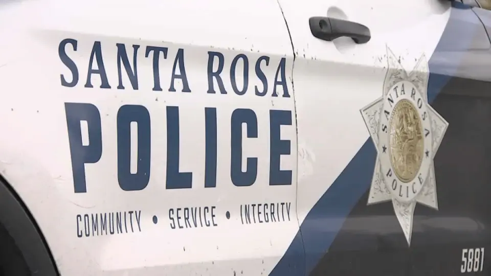 Woman arrested in Santa Rosa over attempted abduction of baby from stroller