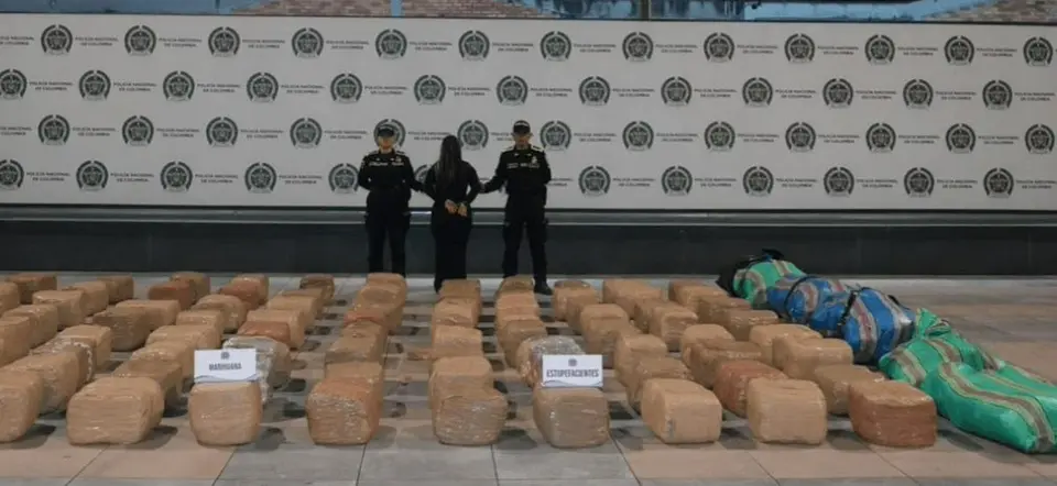 Over 700 kilograms of marijuana seized in south Bogotá: one woman arrested