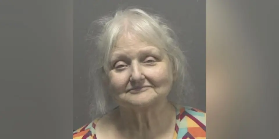 Woman, 69, charged with first-degree murder of husband in New Hanover County