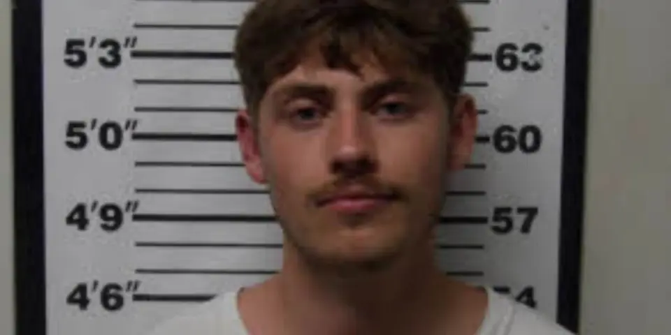 Beaufort man held without bail on strangulation and domestic violence charges