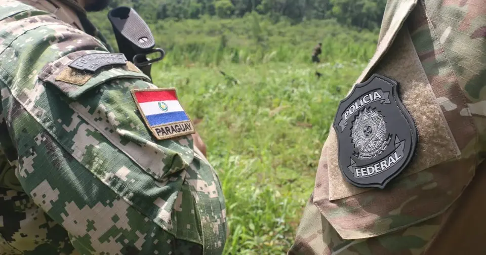 Binational operation eradicates 422 tonnes of cannabis in Amambay