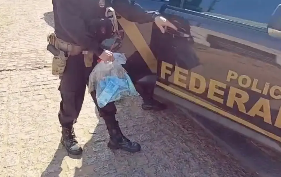 Federal Police arrest 16 people and register 58 electoral crime cases in second round 2026