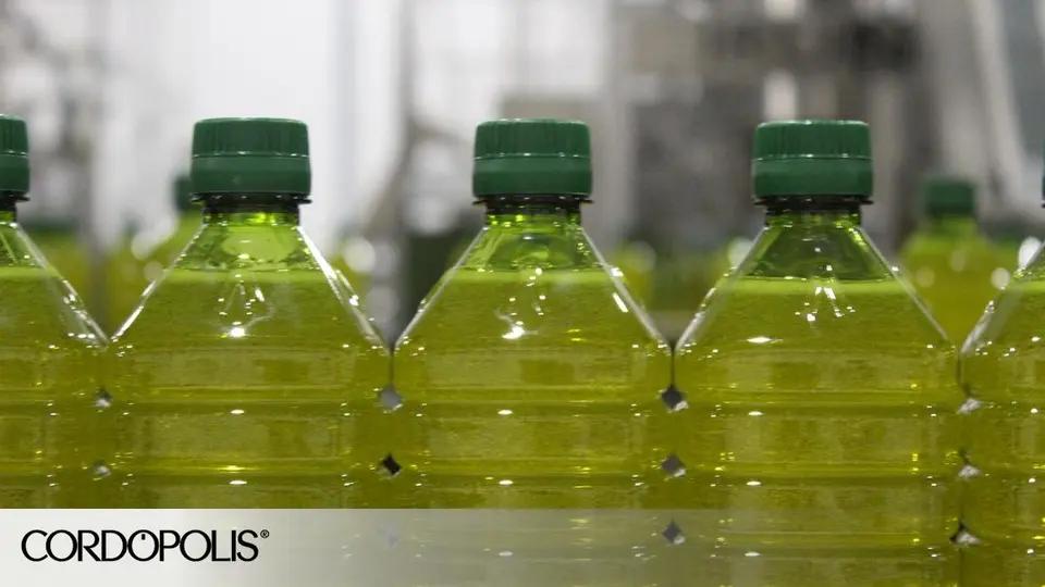 Guardia Civil detiene a doce personas por fraude de aceite de oliva ecológico