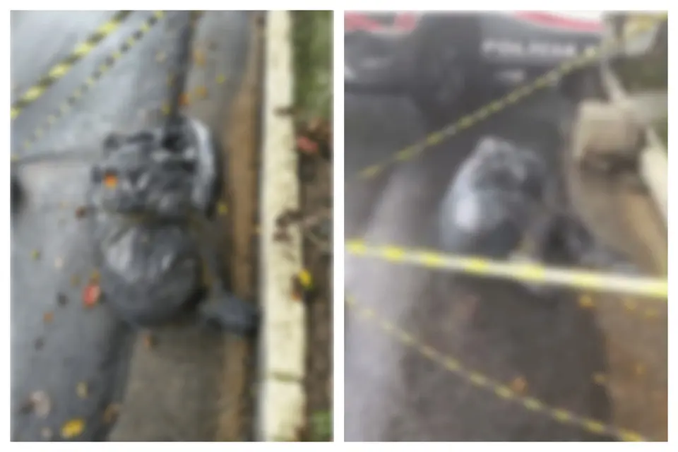 Third body bearing signs of violence found in Parelheiros, South Zone of São Paulo