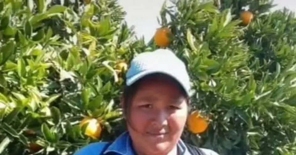 Bolivian woman dies after jumping from van to escape attacker in Chile